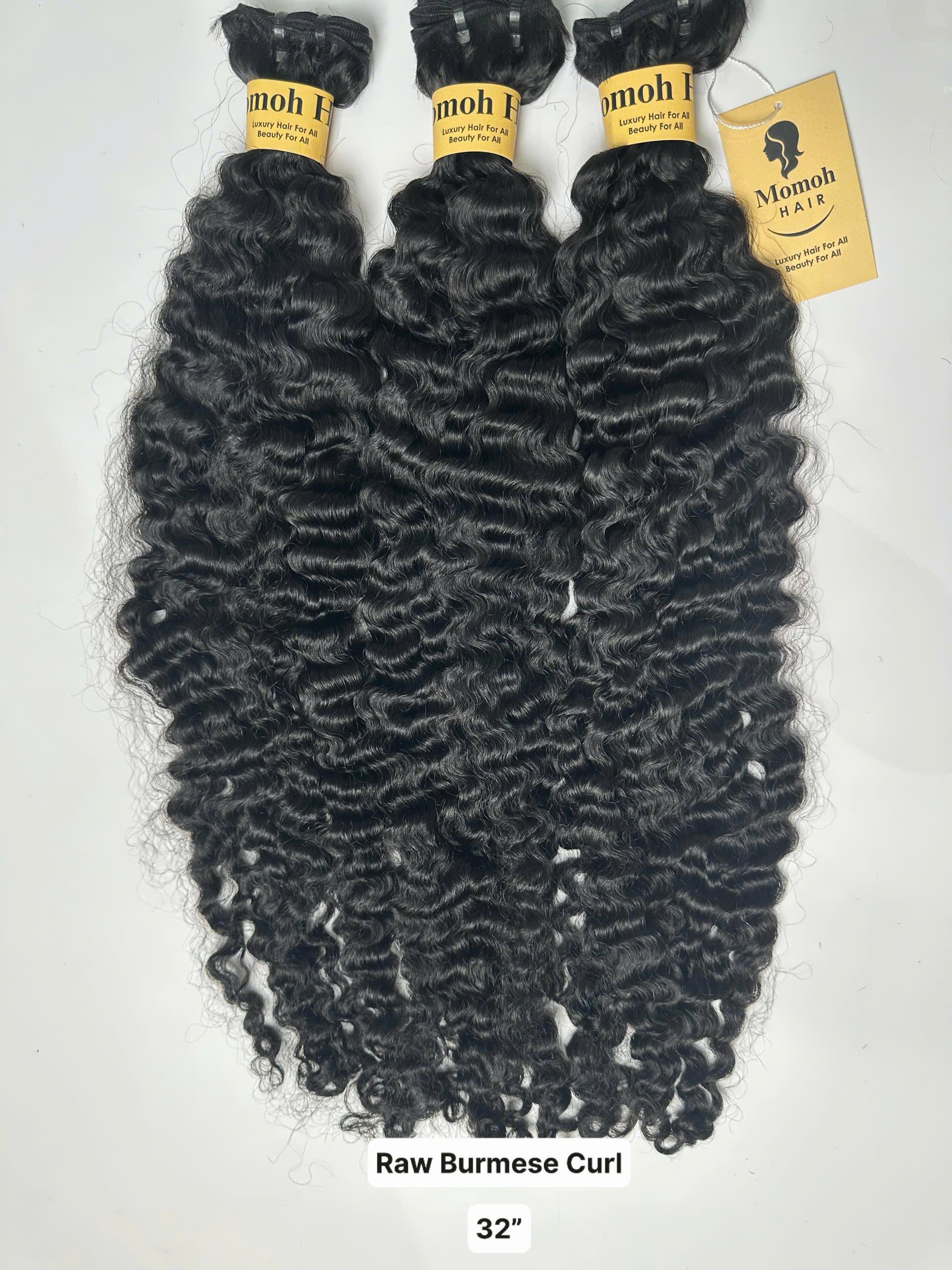 Raw - Burmese Curl